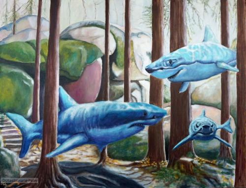 2023-08 - Look Shark - 90-120cm - Acryl-bs