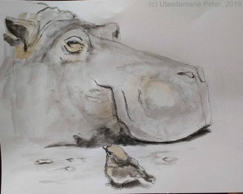 Rhinospatz-2019-31-30-35-zeichnung-bs